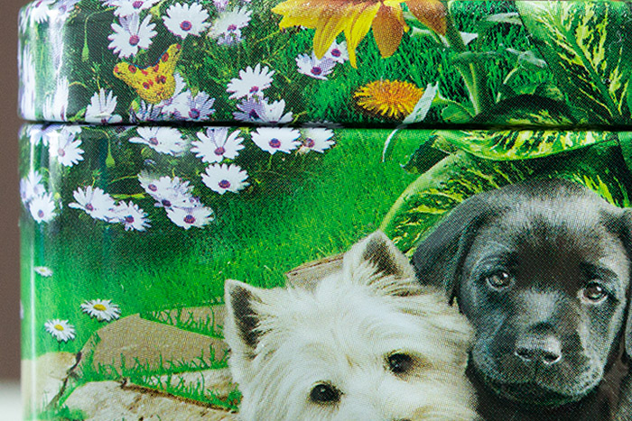 f:id:neconoteblog:20190411155513j:plain