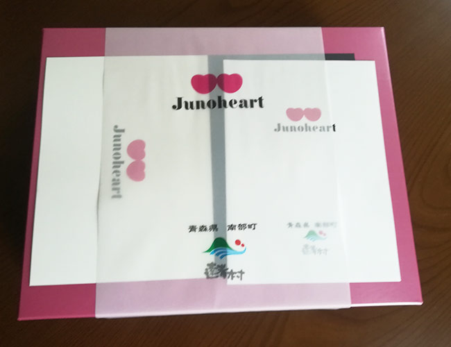 f:id:neconoteblog:20190630162053j:plain