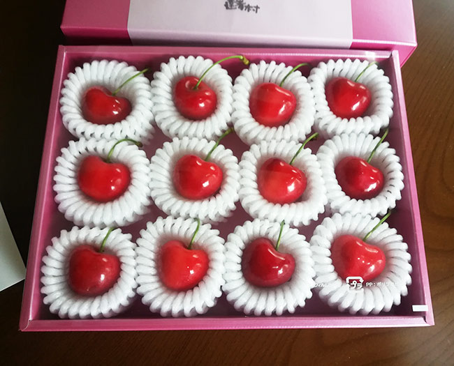 f:id:neconoteblog:20190630162059j:plain