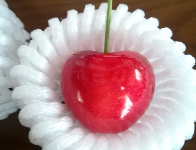 f:id:neconoteblog:20190630165813j:plain