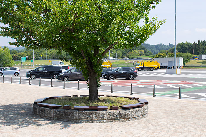 f:id:neconoteblog:20190807105204j:plain