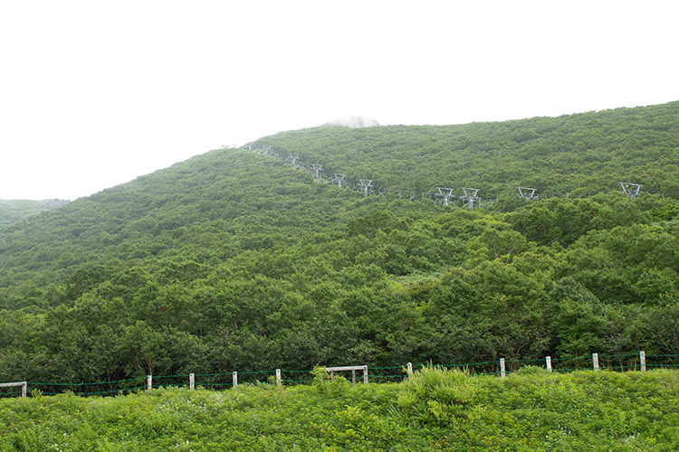 f:id:neconoteblog:20190823173709j:plain f:id:neconoteblog:20190823173709j:plain