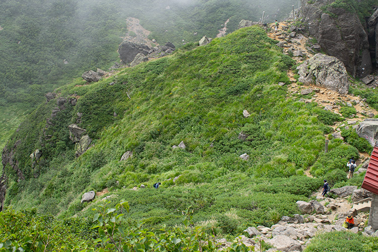 f:id:neconoteblog:20190823200711j:plain f:id:neconoteblog:20190823200711j:plain