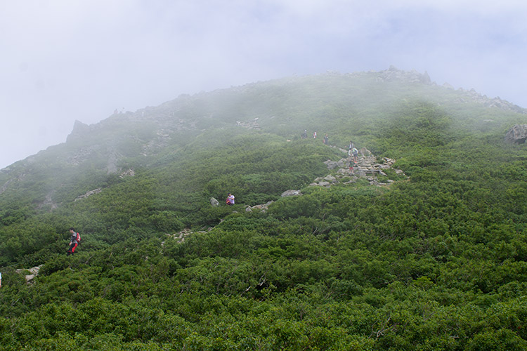 f:id:neconoteblog:20190823200919j:plain f:id:neconoteblog:20190823200919j:plain