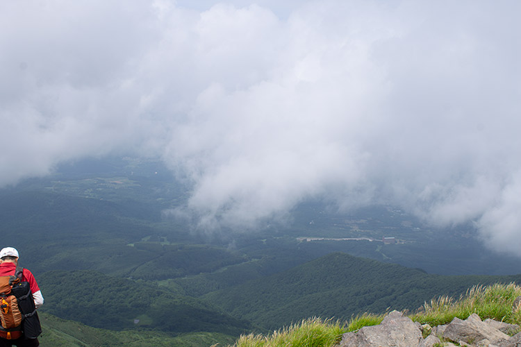 f:id:neconoteblog:20190823201526j:plain f:id:neconoteblog:20190823201526j:plain