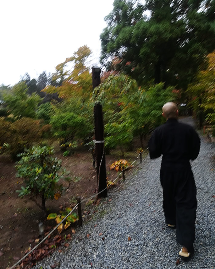 f:id:neconoteblog:20191028205358j:plain