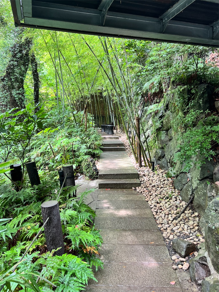 f:id:necosanhonpo1:20250625140945j:image