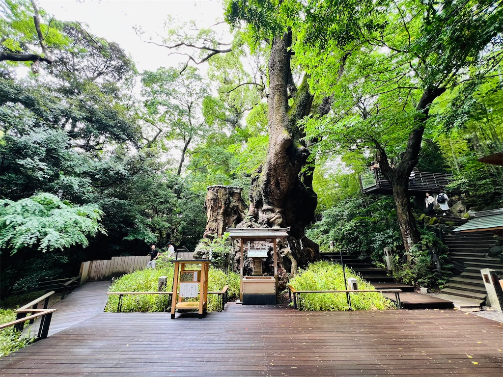 f:id:necosanhonpo1:20250802143146j:image