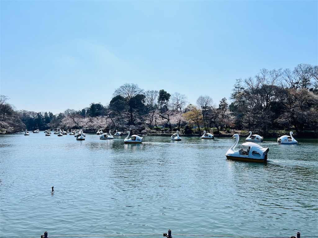 f:id:necosanhonpo1:20260324105418j:image