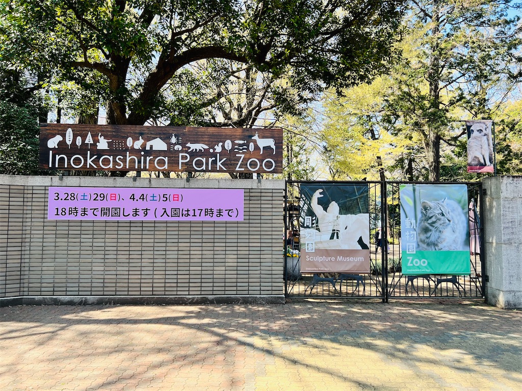 f:id:necosanhonpo1:20260324141646j:image
