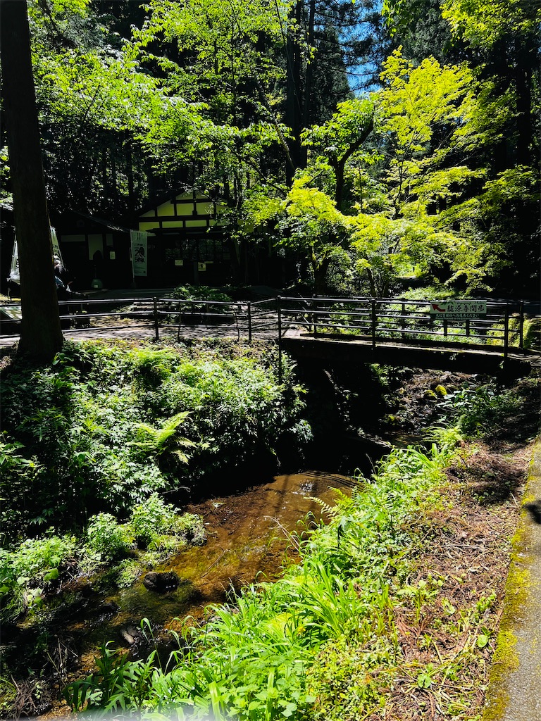 f:id:necosanhonpo1:20260509155323j:image