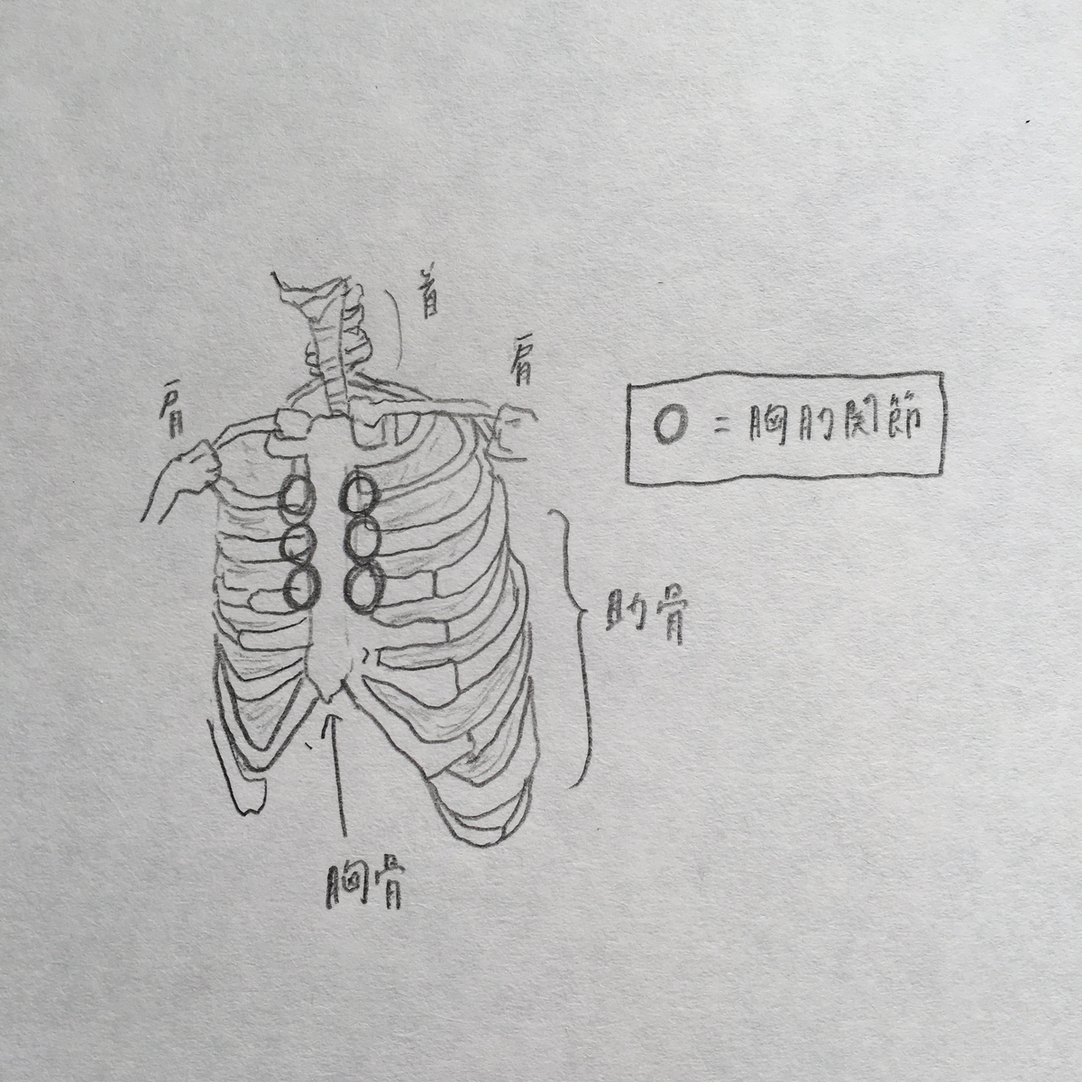 人体の不思議展とは サイエンスの人気 最新記事を集めました はてな