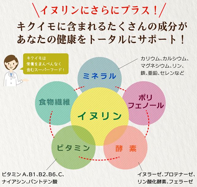f:id:necotawasaco:20161103163928j:plain f:id:necotawasaco:20161103163928j:plain