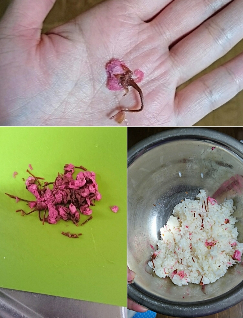 f:id:necotawasaco:20170326173405j:plain