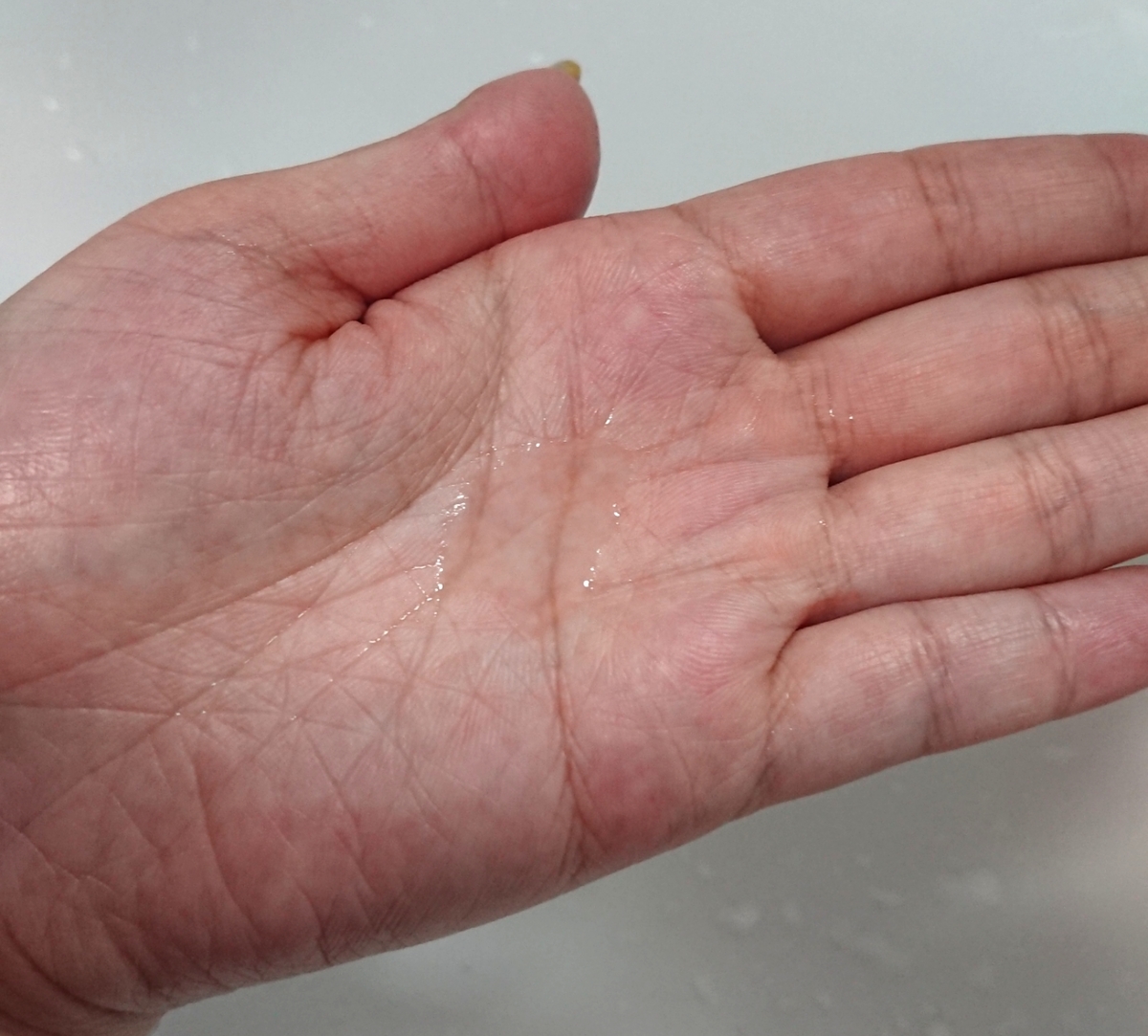 f:id:necotawasaco:20190830235005j:plain f:id:necotawasaco:20190830235005j:plain