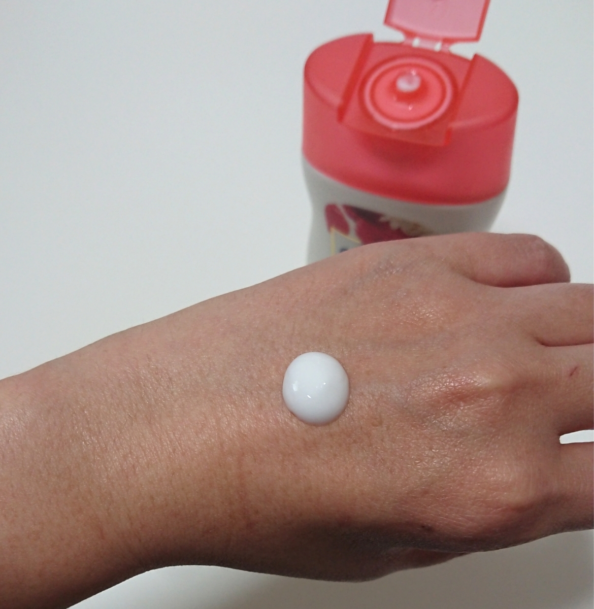 f:id:necotawasaco:20191116150859j:plain