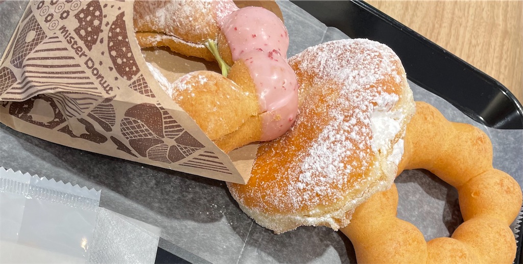 f:id:necotokidoki:20230328153744j:image