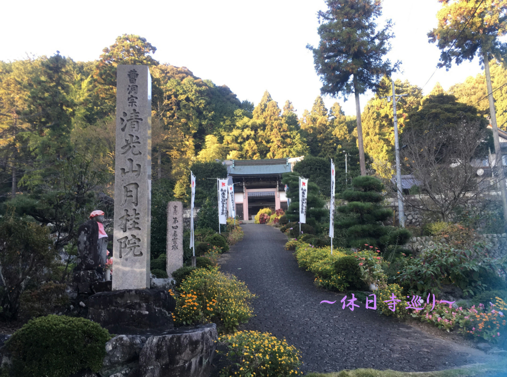 f:id:necotora55:20170114162239j:plain f:id:necotora55:20170114162239j:plain