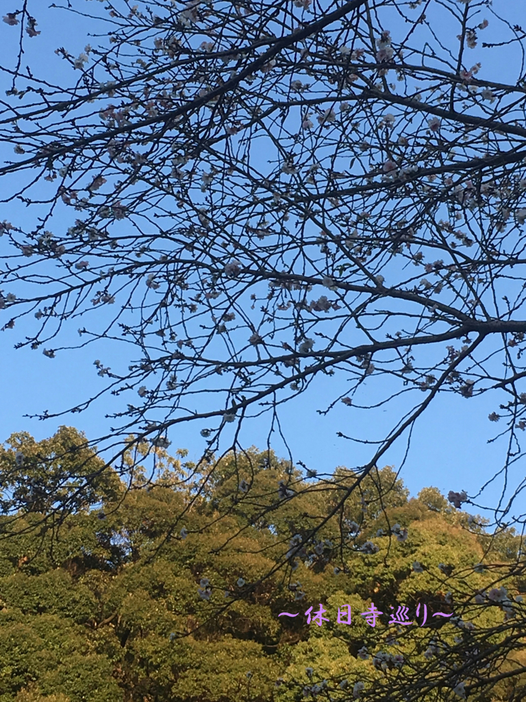 f:id:necotora55:20170114162255j:plain f:id:necotora55:20170114162255j:plain
