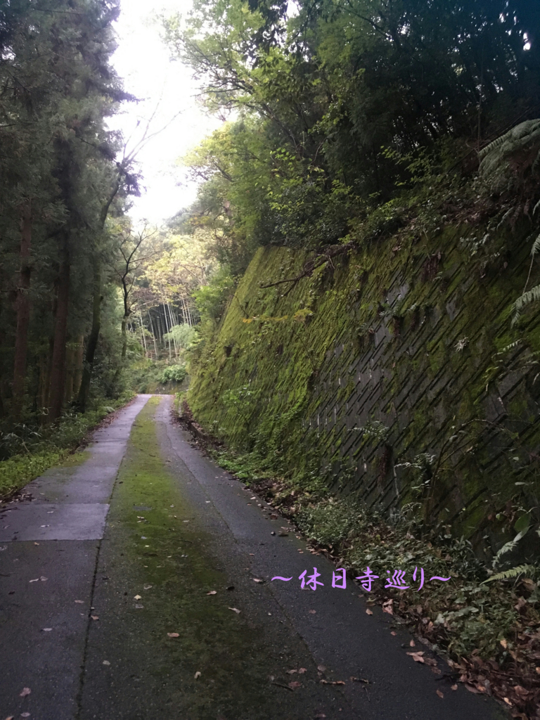 f:id:necotora55:20170121115453j:plain f:id:necotora55:20170121115453j:plain
