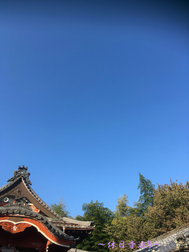 f:id:necotora55:20170121115555j:plain f:id:necotora55:20170121115555j:plain
