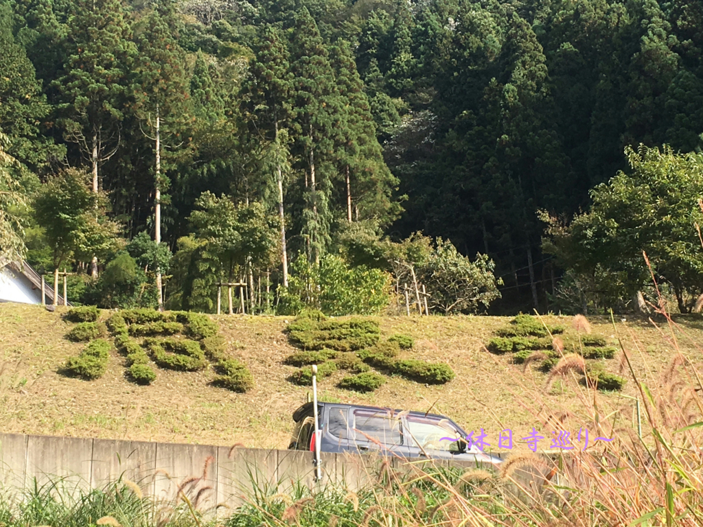 f:id:necotora55:20170128174846j:plain f:id:necotora55:20170128174846j:plain