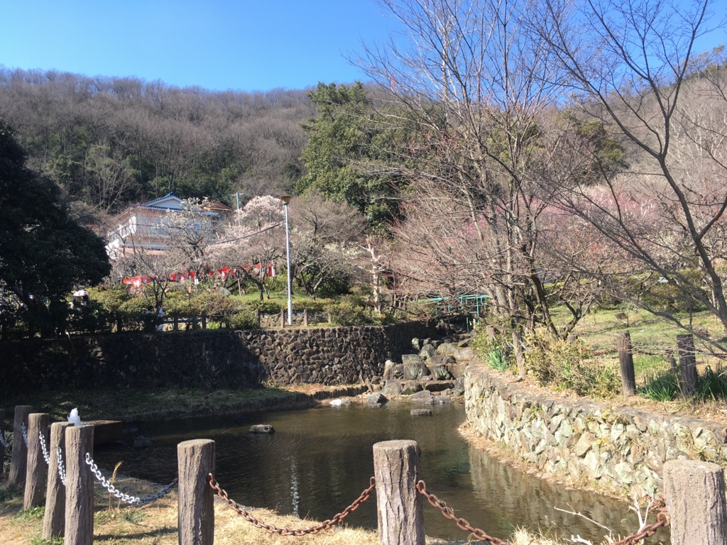 f:id:necotora55:20170312174243j:plain f:id:necotora55:20170312174243j:plain
