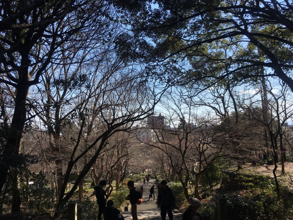 f:id:necotora55:20170312174307j:plain f:id:necotora55:20170312174307j:plain