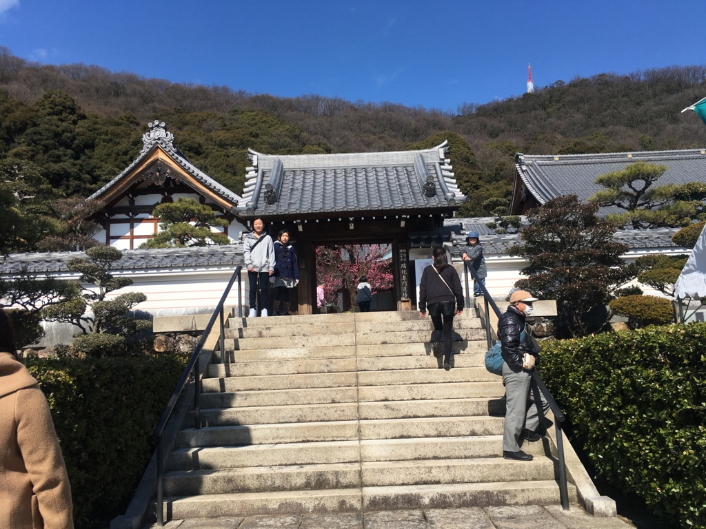 f:id:necotora55:20170318090127j:plain f:id:necotora55:20170318090127j:plain