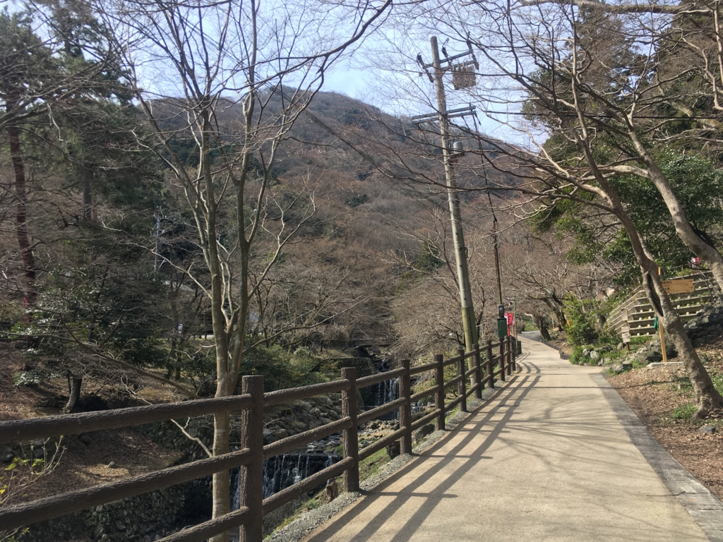 f:id:necotora55:20170326181413j:plain f:id:necotora55:20170326181413j:plain