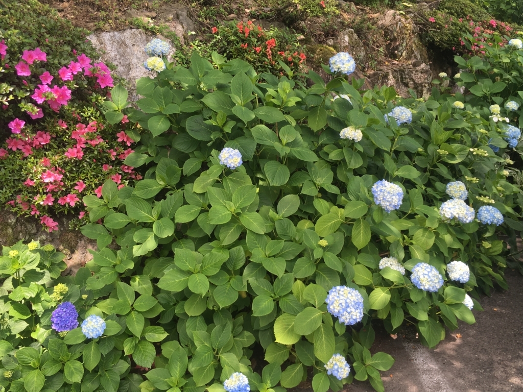 f:id:necotora55:20170617201916j:plain f:id:necotora55:20170617201916j:plain