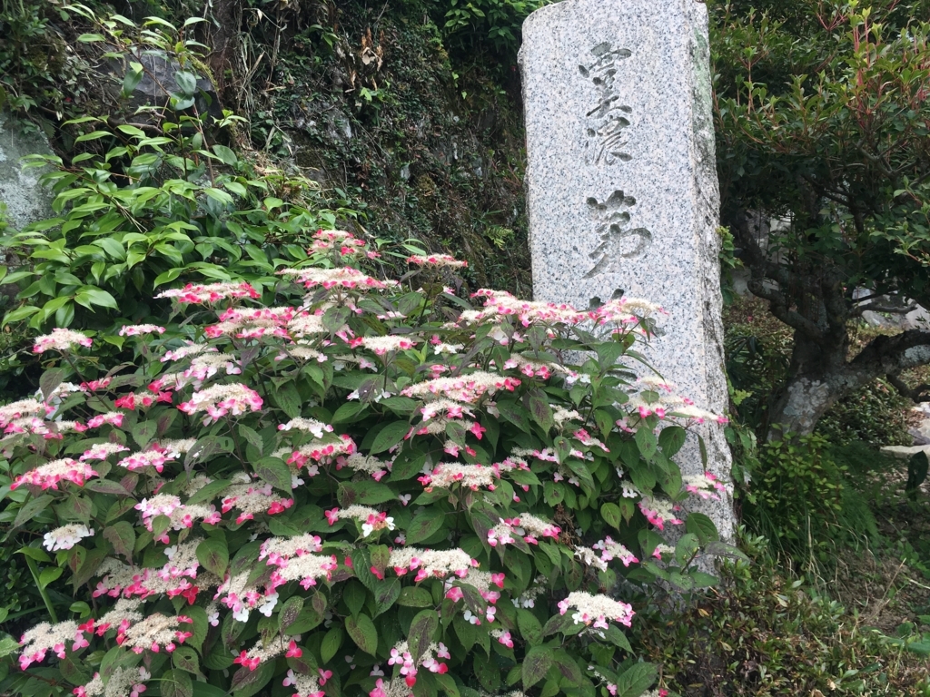 f:id:necotora55:20170730121132j:plain f:id:necotora55:20170730121132j:plain