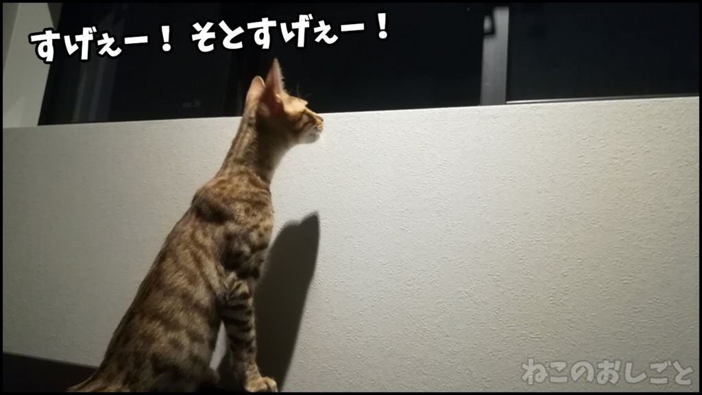 f:id:necozuki299:20180503183942j:plain f:id:necozuki299:20180503183942j:plain