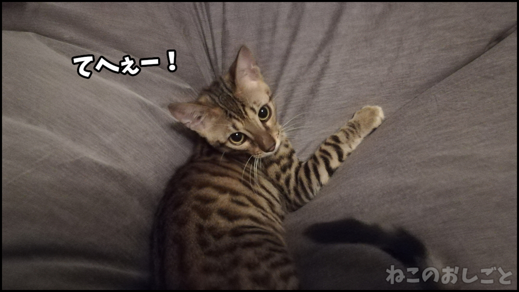 f:id:necozuki299:20180503184140j:plain f:id:necozuki299:20180503184140j:plain