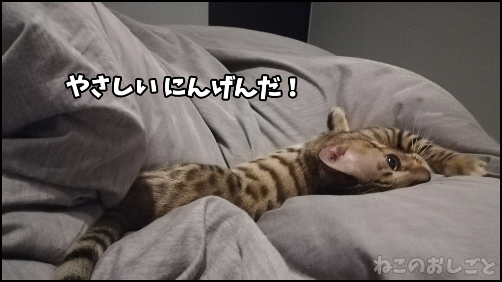 f:id:necozuki299:20180503185515j:plain f:id:necozuki299:20180503185515j:plain