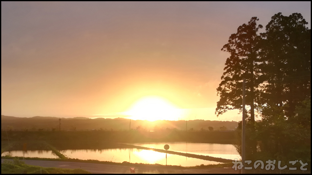 f:id:necozuki299:20180503202624j:plain f:id:necozuki299:20180503202624j:plain