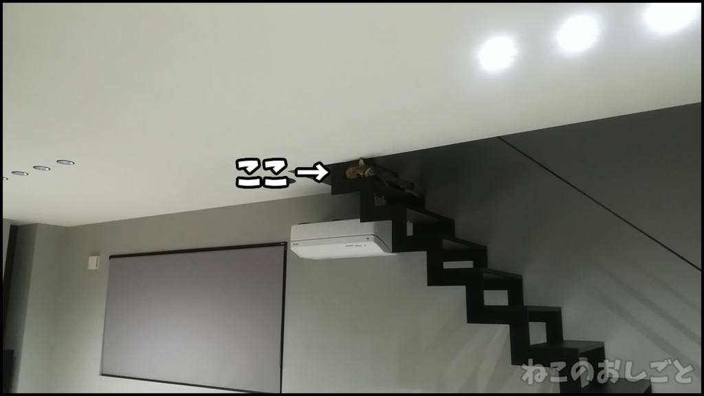 f:id:necozuki299:20180509154700j:plain f:id:necozuki299:20180509154700j:plain