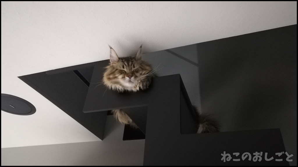 f:id:necozuki299:20180509154729j:plain f:id:necozuki299:20180509154729j:plain