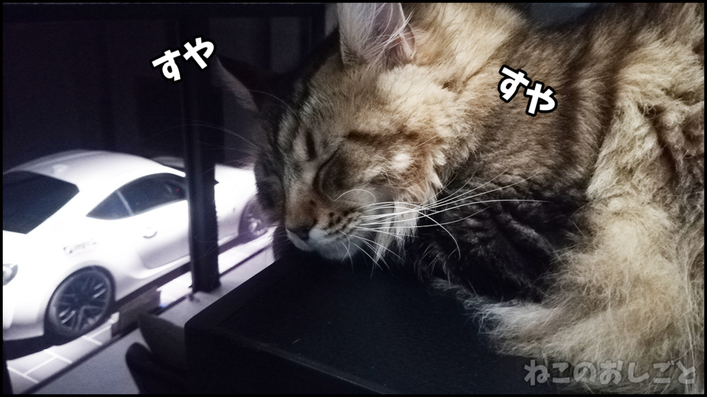 f:id:necozuki299:20180509155508j:plain f:id:necozuki299:20180509155508j:plain