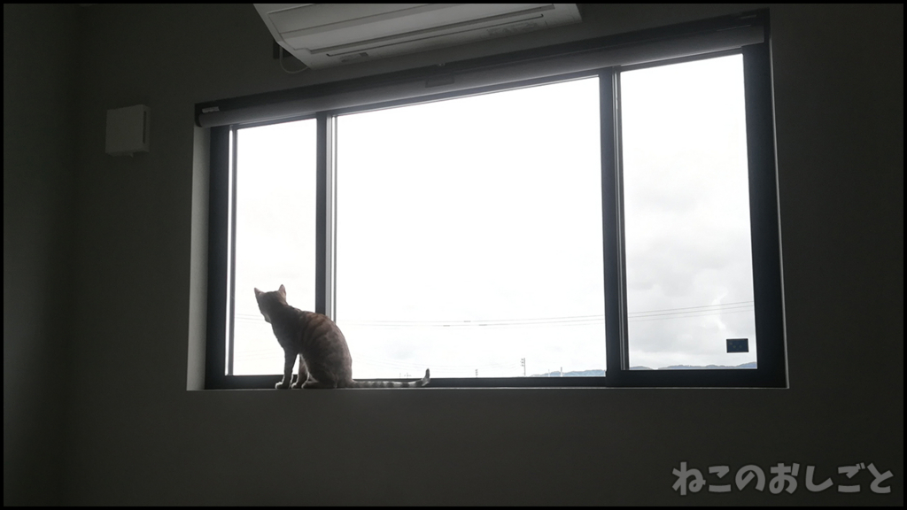 f:id:necozuki299:20180509170748j:plain f:id:necozuki299:20180509170748j:plain