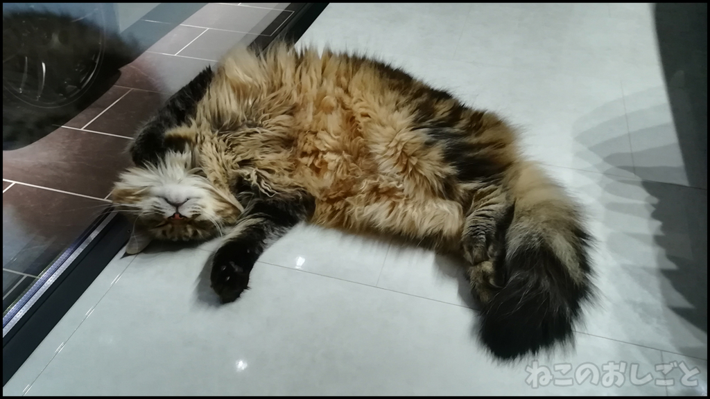 f:id:necozuki299:20180523041345j:plain f:id:necozuki299:20180523041345j:plain