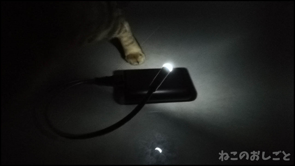 f:id:necozuki299:20180523232437j:plain f:id:necozuki299:20180523232437j:plain