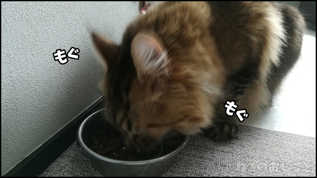 f:id:necozuki299:20180529142937j:plain f:id:necozuki299:20180529142937j:plain