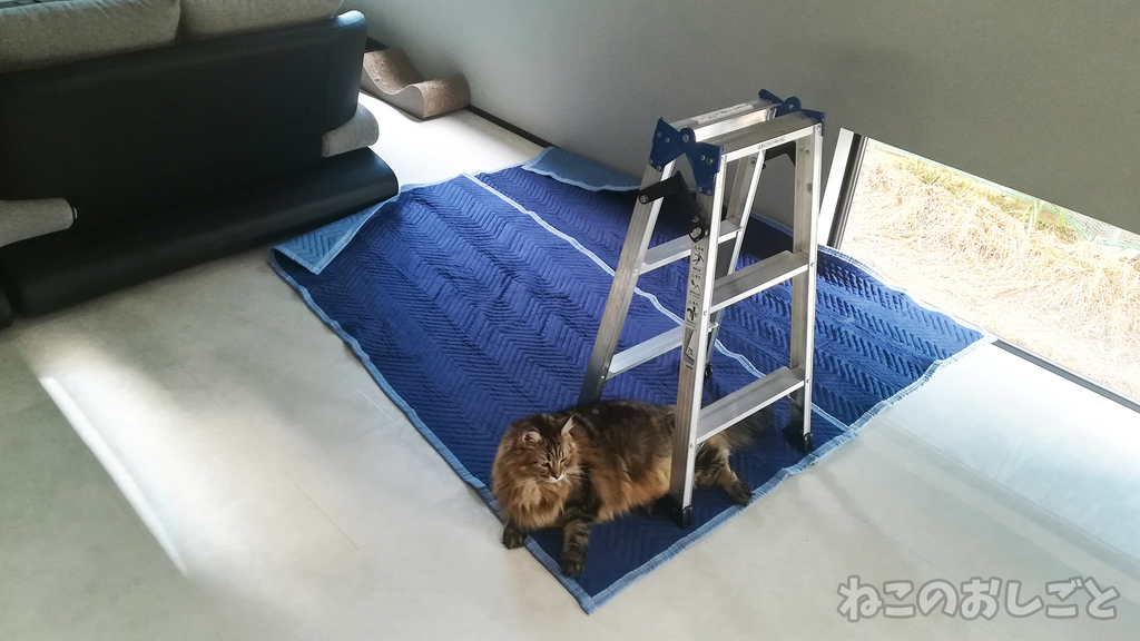 f:id:necozuki299:20181003152506j:plain