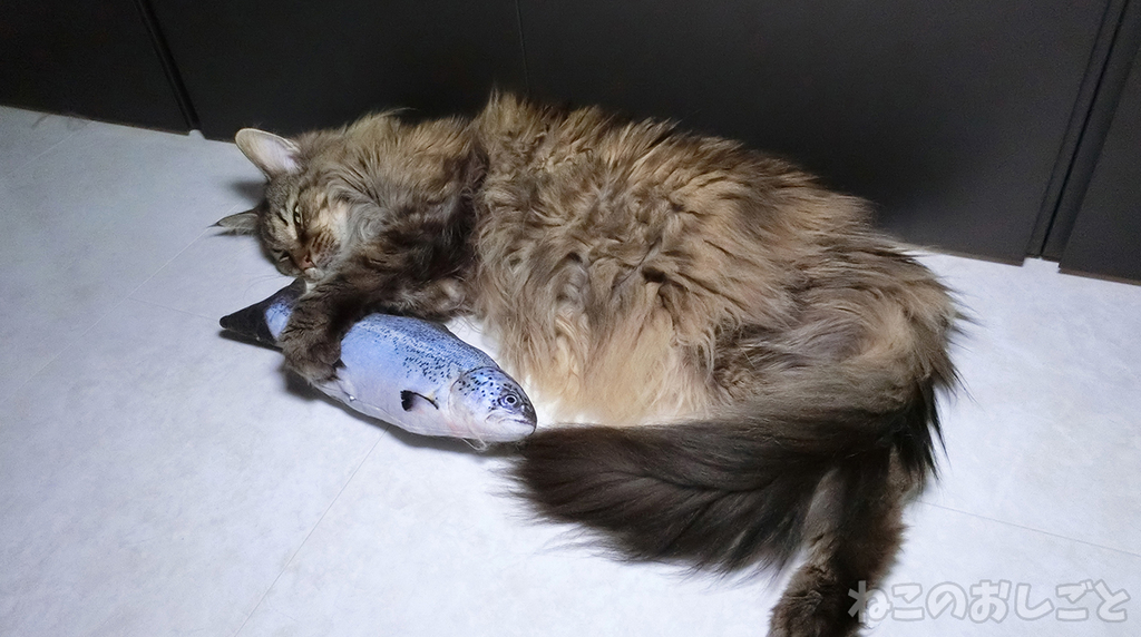 f:id:necozuki299:20181117194251j:plain