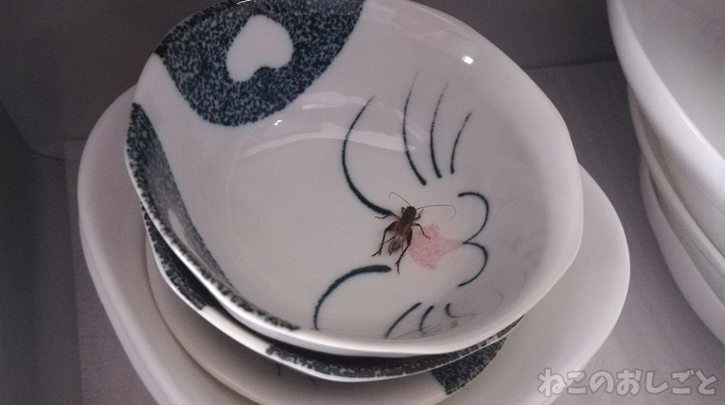 f:id:necozuki299:20181117205111j:plain