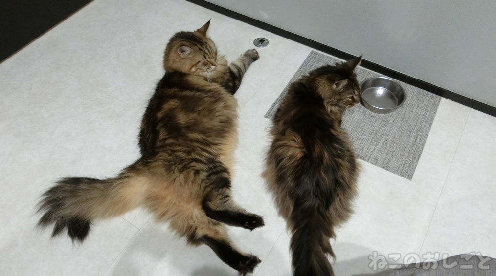 f:id:necozuki299:20181218134828j:plain