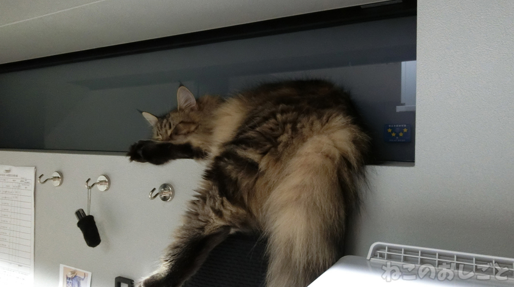 f:id:necozuki299:20181218150034j:plain