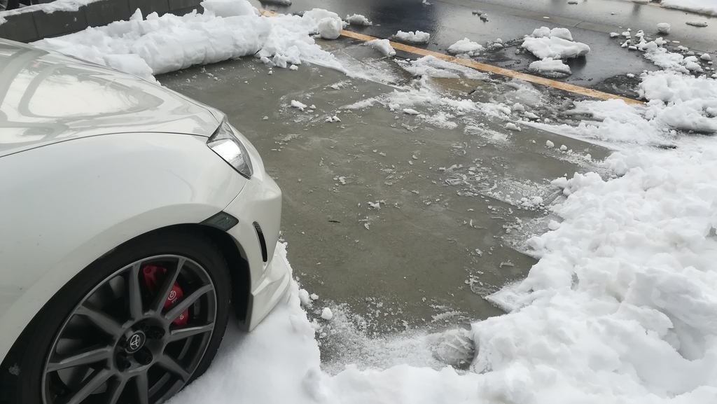 f:id:necozuki299:20190122181841j:plain f:id:necozuki299:20190122181841j:plain