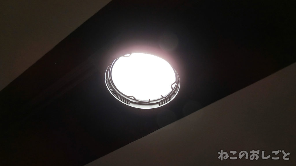 f:id:necozuki299:20190123223316j:plain